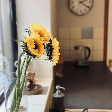 At Six Semesterbostad *